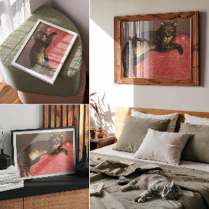 Poster Mačka na vankúši