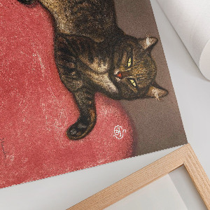 Poster Mačka na vankúši