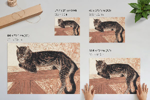 Plagát Mačka na zábradlí