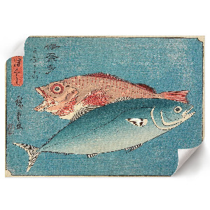 Poster Žltochvost a ostriež