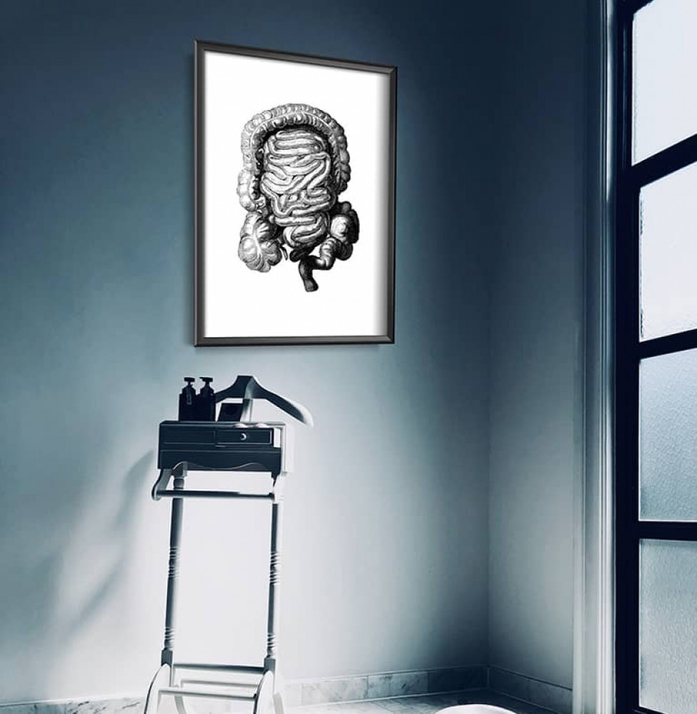 Anatomické plagáty