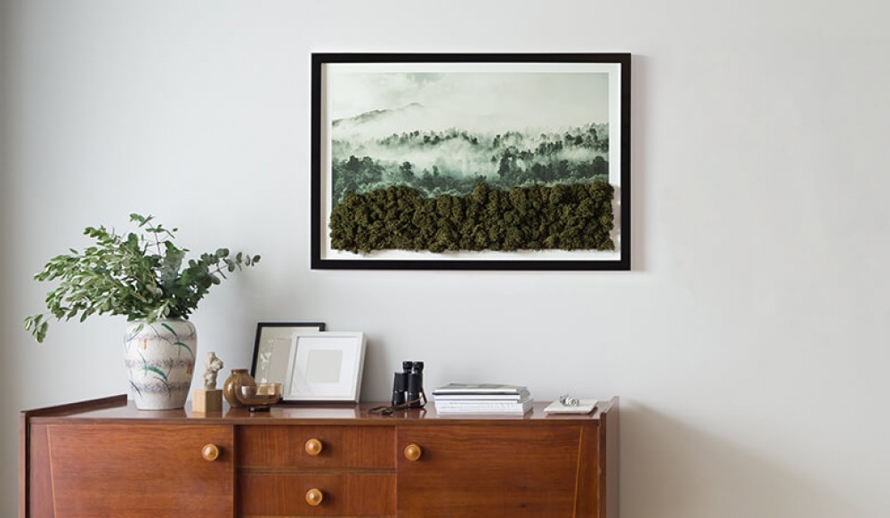 Obrazy z machového machu