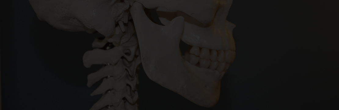 Anatomické plagáty 